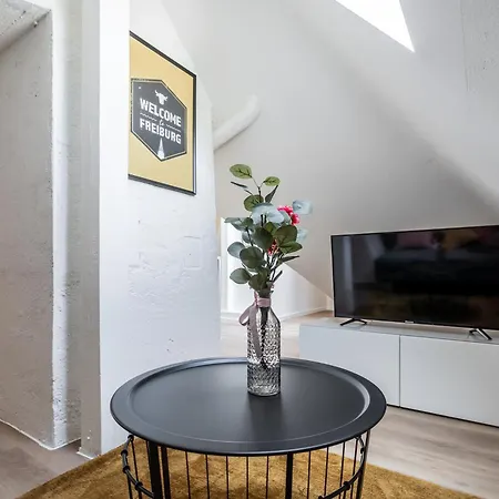 Boutique Apartments am Stadtgarten Freiburg im Breisgau Zimmer foto